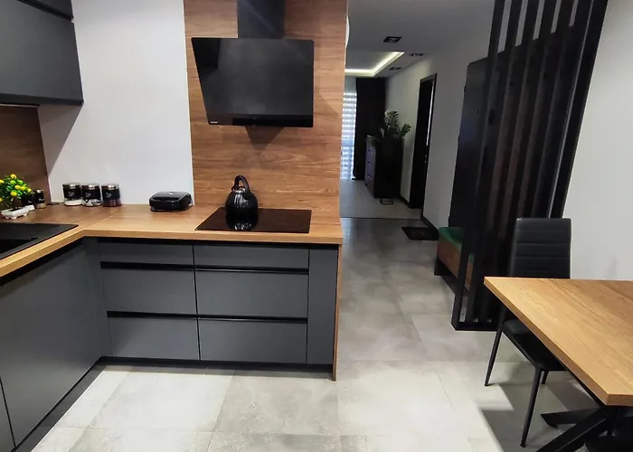 Luxury Apartment